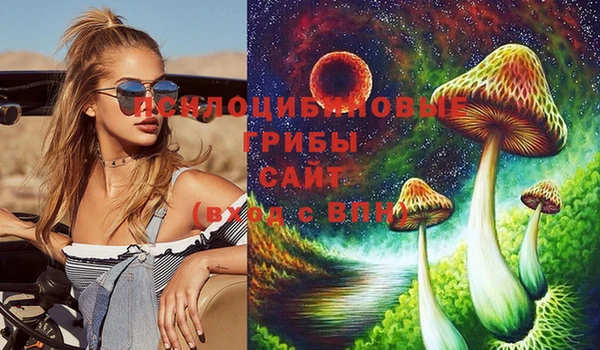 стаф Семилуки