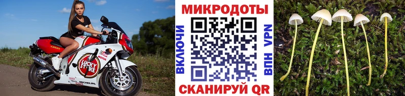 Купить закладки  Омск  Псилоцибиновые грибы прущие грибы 